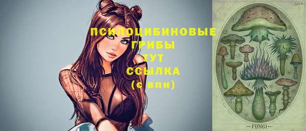 героин Алексин