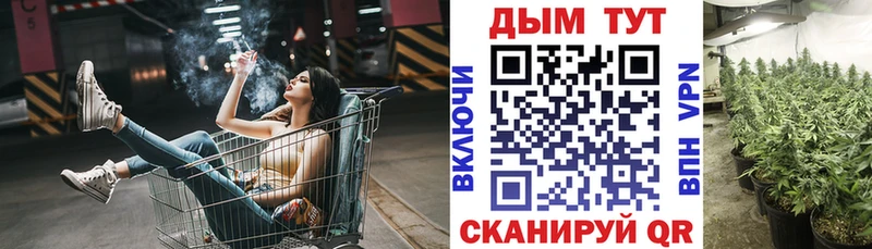 купить Малаховка Бошки марихуана сатива
